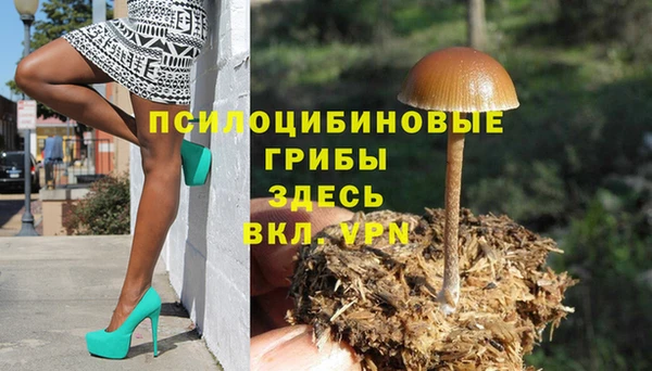 героин Богданович