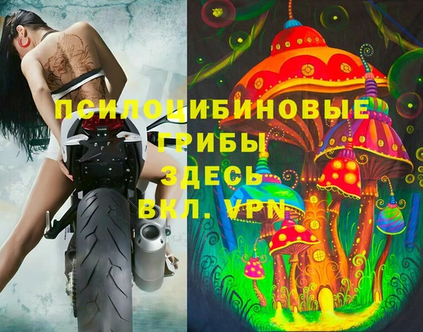 гашик Беломорск