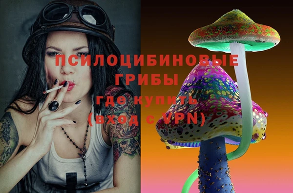 гашик Беломорск