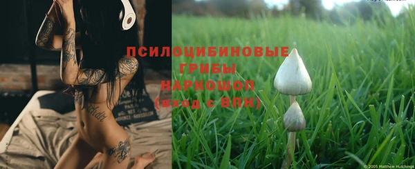 ALPHA PVP Богородск